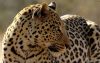 DSC_2227AS.jpg