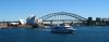 DSC_1813.jpg