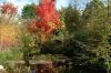 DSCF1749.jpg