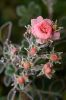 DSC_3267.jpg