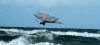 DSC_4359B.jpg