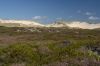 DSC_7054.jpg