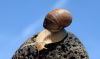 DSC_1704jpgba.jpg
