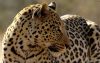 DSC_2227AS.jpg